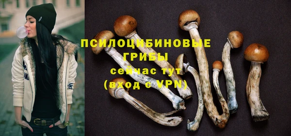 сатива Абаза