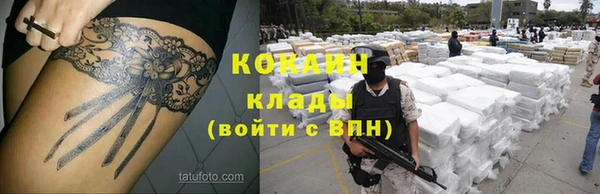 сатива Абаза