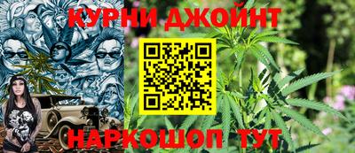 индика Гусь-Хрустальный