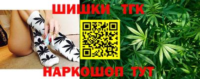 индика Гусь-Хрустальный