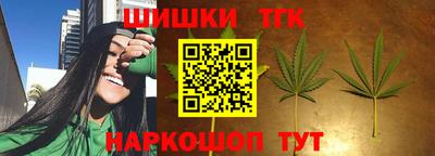 стаф Новокубанск