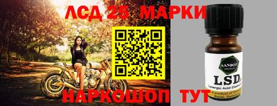 индика Гусь-Хрустальный