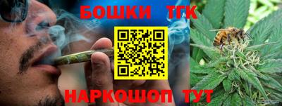 индика Гусь-Хрустальный