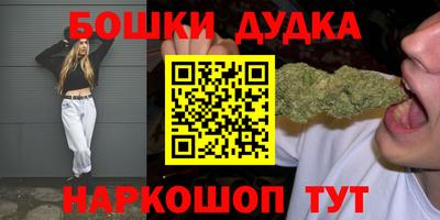 индика Гусь-Хрустальный