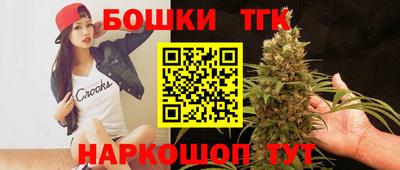 индика Гусь-Хрустальный