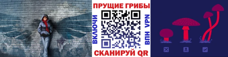 Псилоцибиновые грибы GOLDEN TEACHER  Шахты 