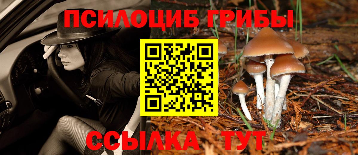 Шахты  Псилоцибиновые грибы Psilocybine cubensis  Вход с VPN 