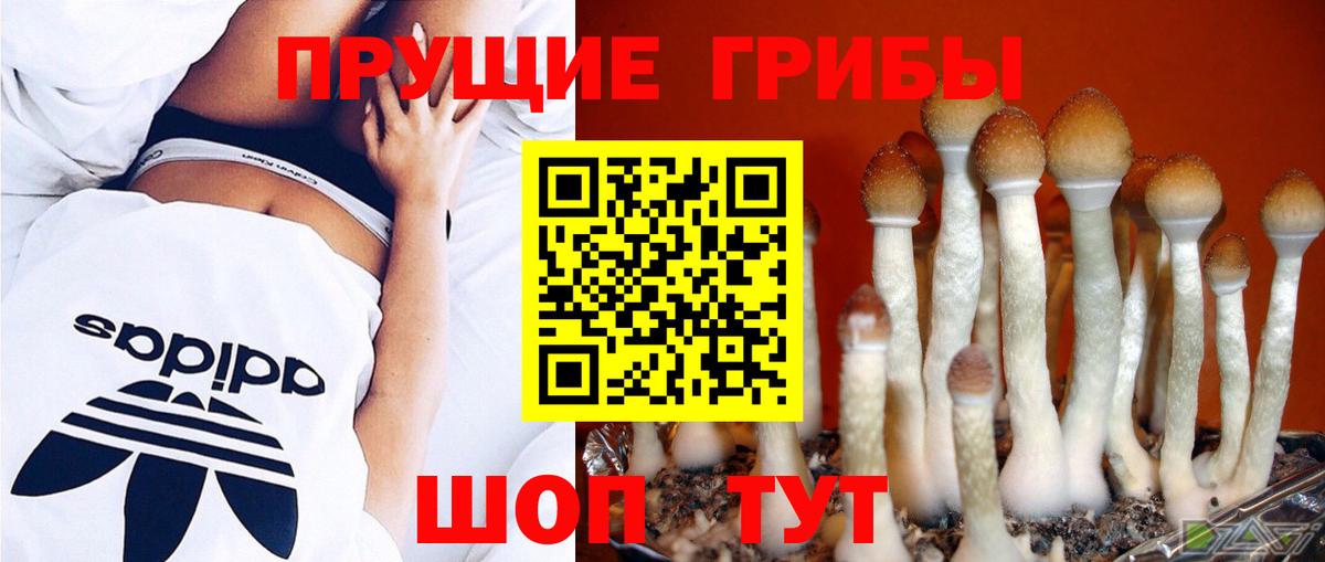 Галлюциногенные грибы GOLDEN TEACHER Шахты